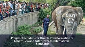 Chief Minister's Vision: Upgrading Lahore Zoo and Safari Park to International Standards